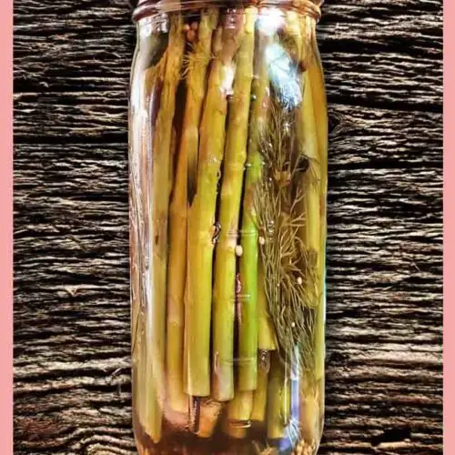 Green Giant Canned Asparagus Recipes