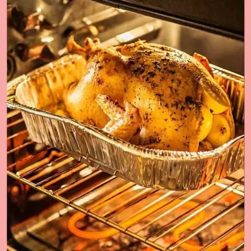 Nesco Roaster Oven Recipe