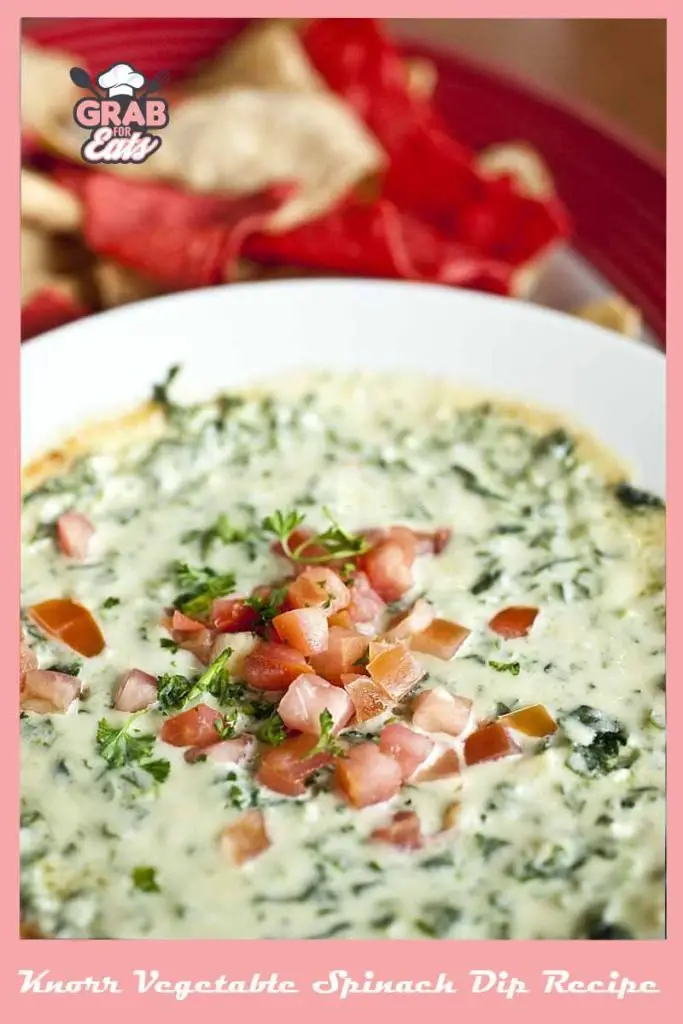 Knorr Vegetable Spinach Dip Recipe