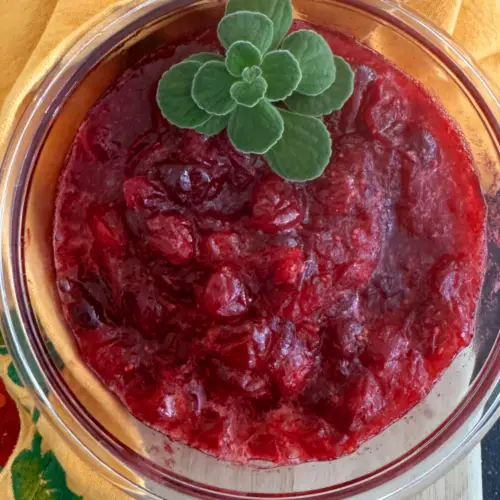 Holiday Cranberry Sauce Recipe